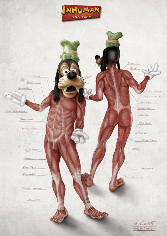 disney-anatomy-2