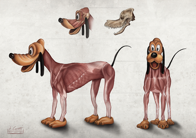 disney-anatomy-3
