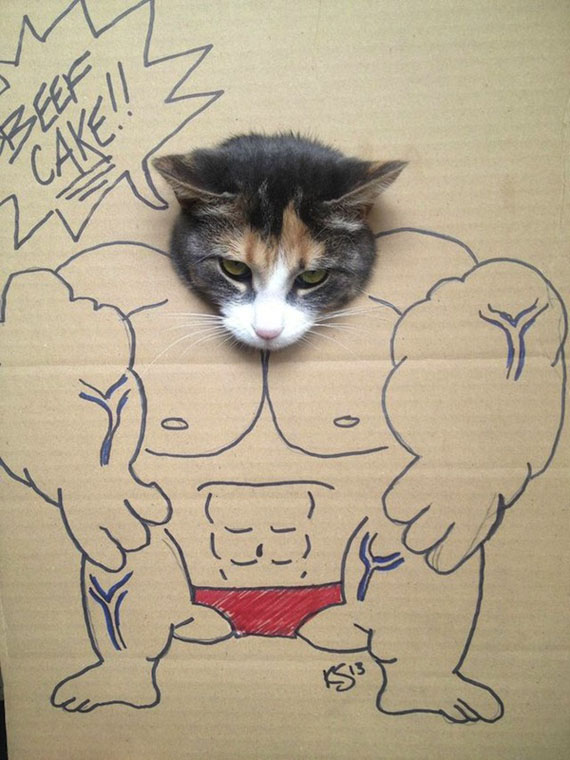 cardboard-cat-costume-4