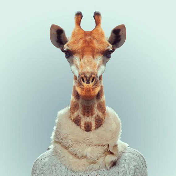 zoo-portraits-4