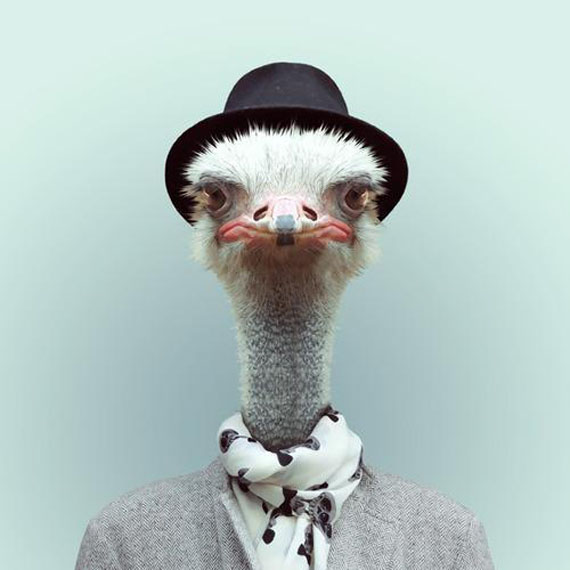 zoo-portraits-7