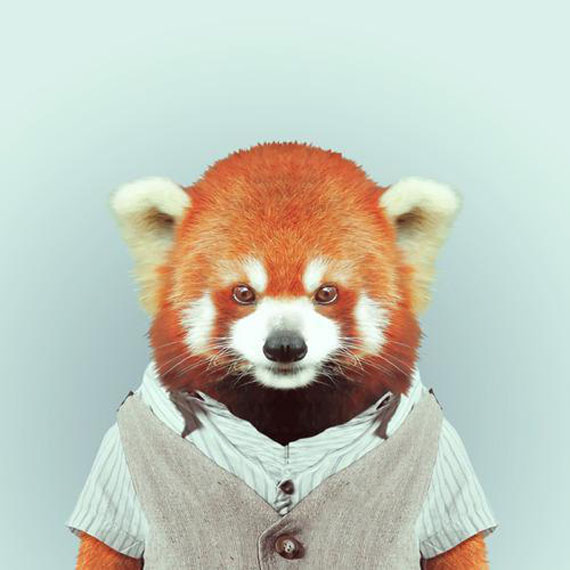 zoo-portraits-8