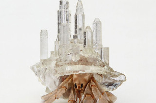 Hermit Crab Sculptures