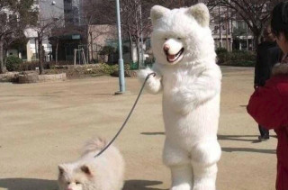Caption This: Dog Walking Dog (WIN STUFF)