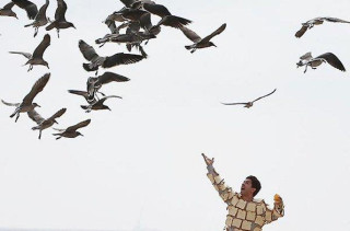 Caption This: Birds & Bread (Win Stuff)