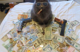 Caption This: Cash Cat (Win Stuff)