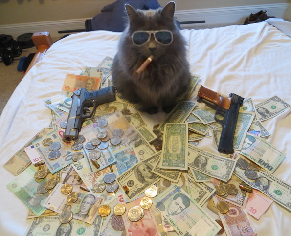 Caption-This-Cash-Cat.jpg