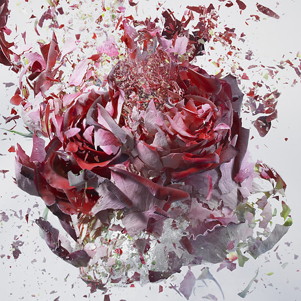 exploding-flowers-2