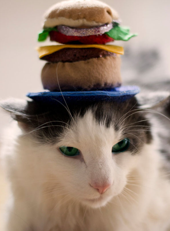 Sharknado Cat Hat Incredible Things