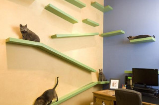 Your Cat Will Be Jealous Of This House Made Just For Kitties