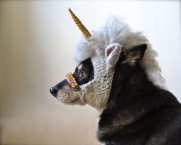 unicorn-mask-for-dogs-1.jpg