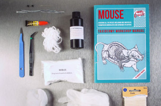 The Mouse Taxidermy Kit Gives Me The Sads :(
