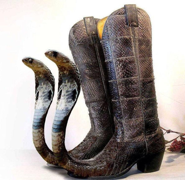 Anyone Else Like/Wear Cowboy Boots 