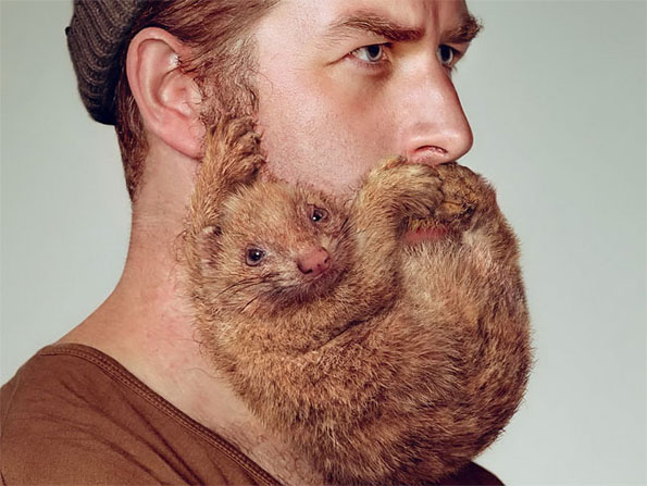 These Dudes' Beards Get Shaped Up To Look Like Animals