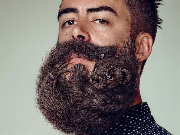 animal-beard-shaving-ad-4
