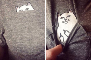 The Sassiest Cat T-Shirt You Never Knew You Needed