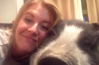 This Grumbly Pig Does NOT Like To Cuddle & It's Hilarious