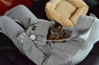 A Hoodie Equipped With A Cat-Sized Pocket For Kitty Snugs