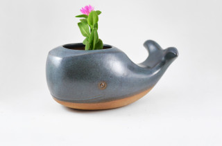 These Animal Planters Are So Cute I Can Barely Stand It