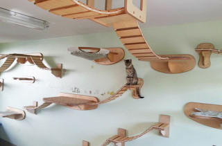 These Overhead Playgrounds For Cats Is A Kitty's Paradise