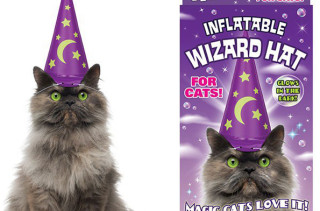 Oh, Just An Inflatable Wizard Hat For Cats! No Big Deal
