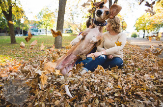 A Jealous Dog Photobombs Engagement Photos, Is Hilarious