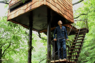 You Have Got To See These Amazing, Whimsical Treehouses!