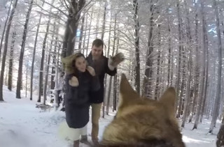 A Couple Had Their Dog With A GoPro Capture Their Wedding