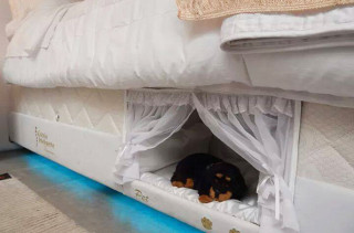 Check Out This People Bed With A Pet Bed Built Into It