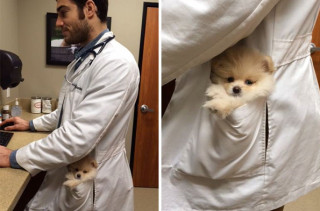 Great Day To Be A Cat Lady: Meet Instagram's Hottest Veterinarian