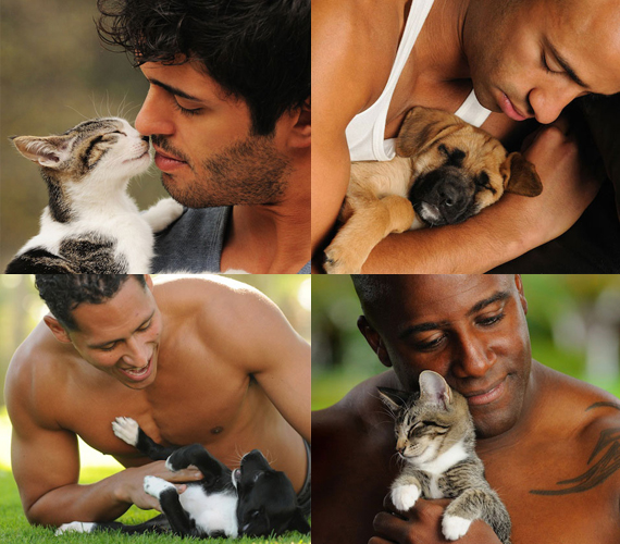 Animals and hot guys cute Would You