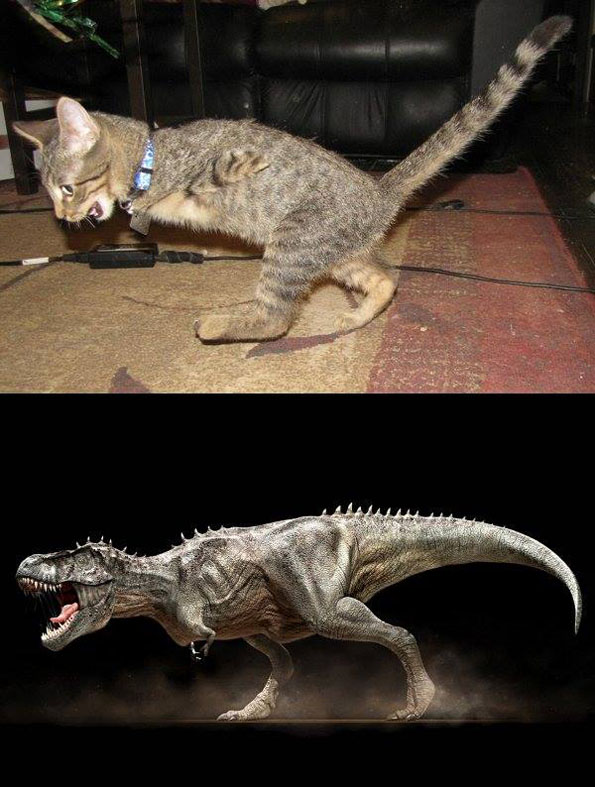 mercury-2-legged-t-rex-cat-1
